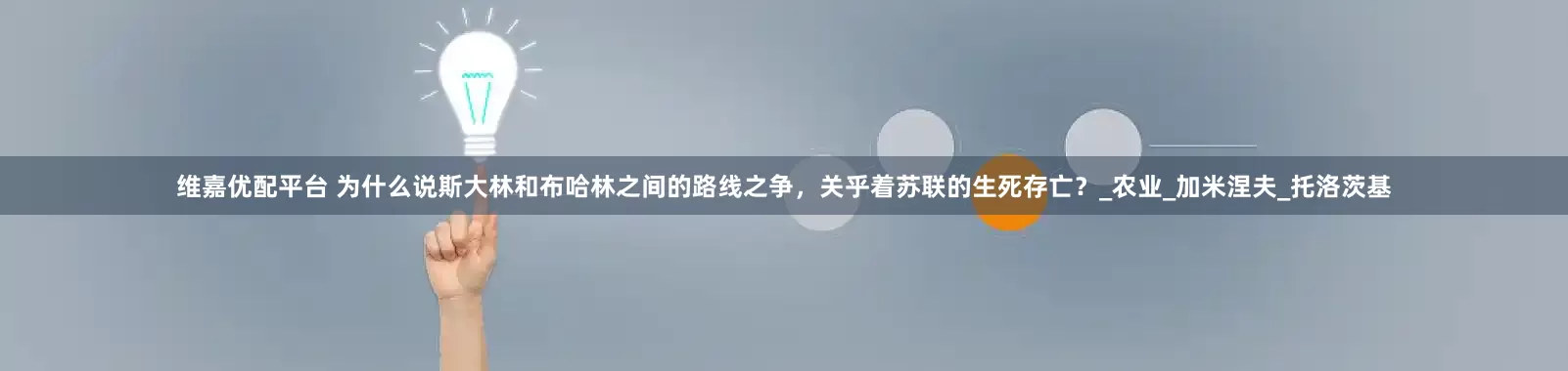 维嘉优配平台 为什么说斯大林和布哈林之间的路线之争，关乎着苏联的生死存亡？_农业_加米涅夫_托洛茨基