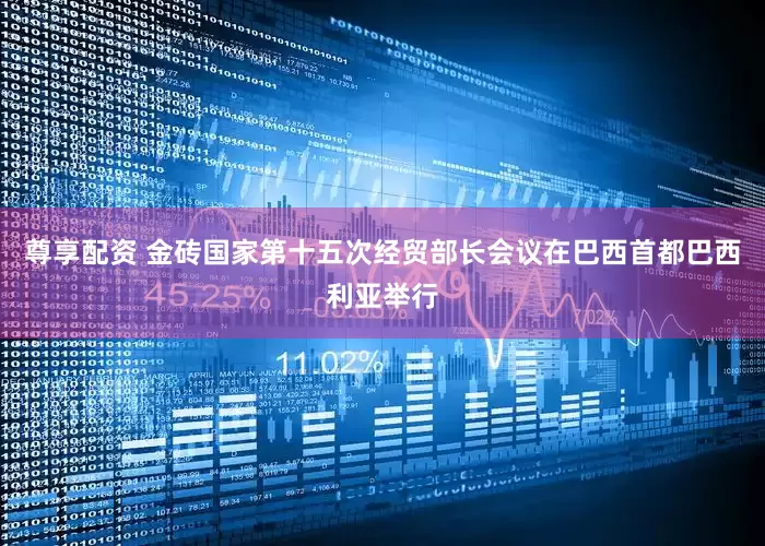 尊享配资 金砖国家第十五次经贸部长会议在巴西首都巴西利亚举行