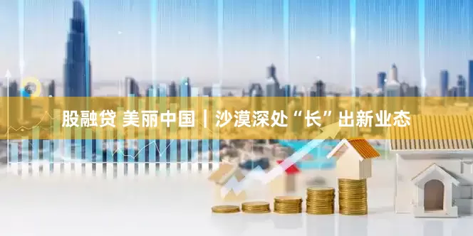 股融贷 美丽中国｜沙漠深处“长”出新业态