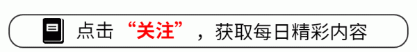 棒棒策略 以法之名临近结局大反转，许言午本是卧底，洪亮老婆也是保护伞？