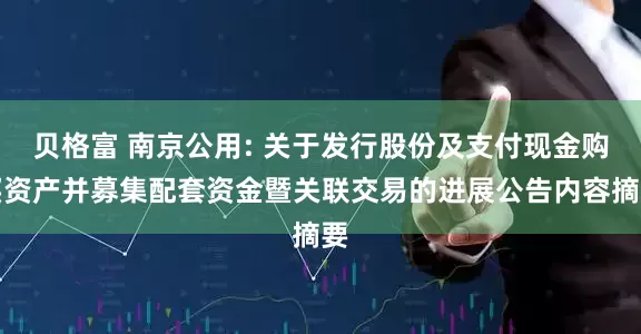 贝格富 南京公用: 关于发行股份及支付现金购买资产并募集配套资金暨关联交易的进展公告内容摘要