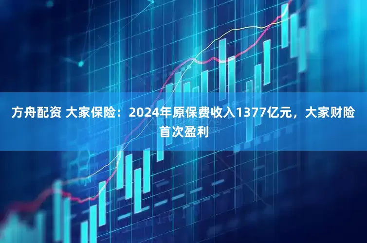 方舟配资 大家保险：2024年原保费收入1377亿元，大家财险首次盈利